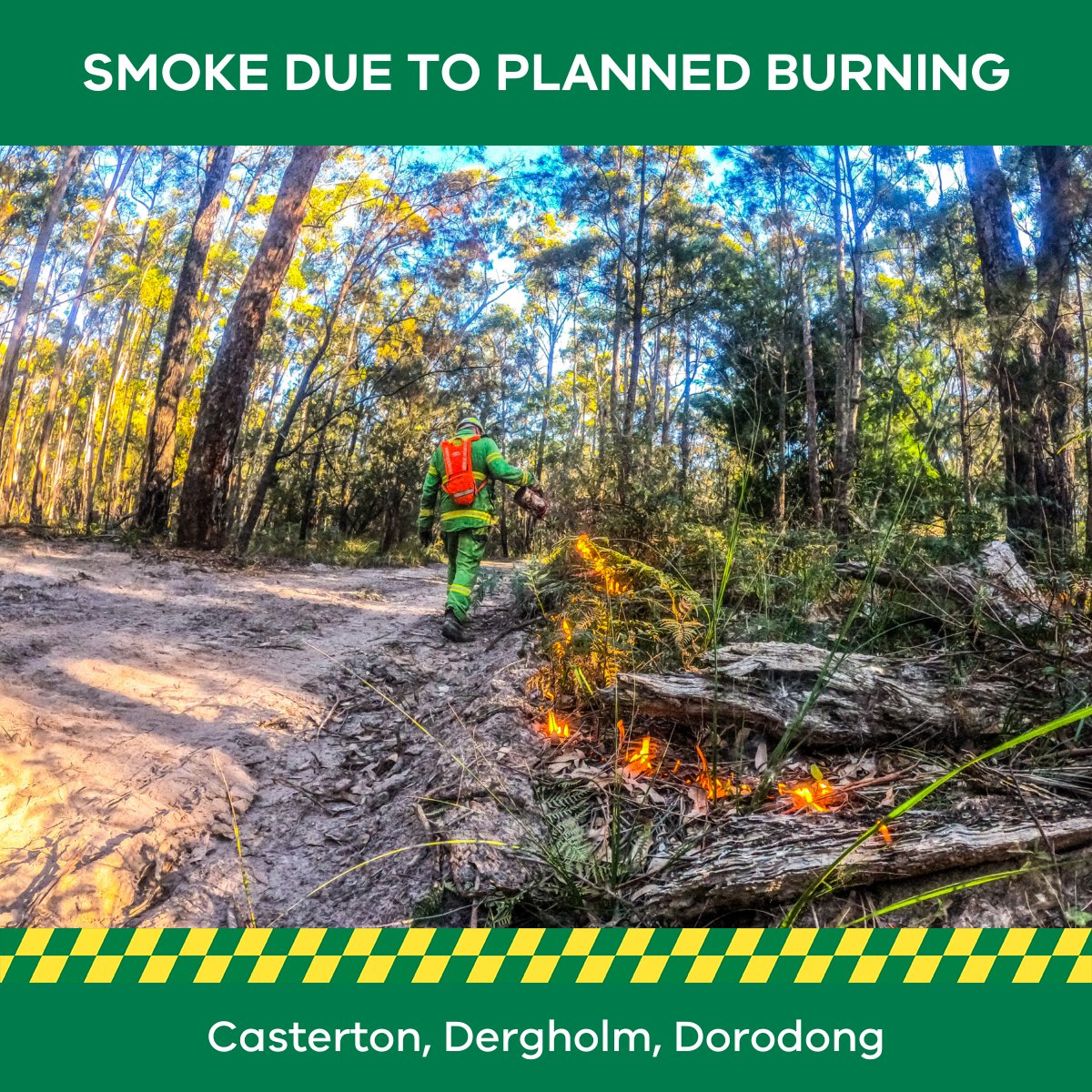 FFMVic's tweet photo. Firefighters will undertake a #plannedburn today at Roseneath State Forest – Vickery’s Rd – 204.78 ha. Smoke may impact Vickery’s &amp; Telegraph roads. Drive safely &amp; to the conditions. Find out when &amp; where planned burns are happening: https://t.co/ag3nlsm9EM or 1800 226 226. https://t.co/wmzXWYYQvL
