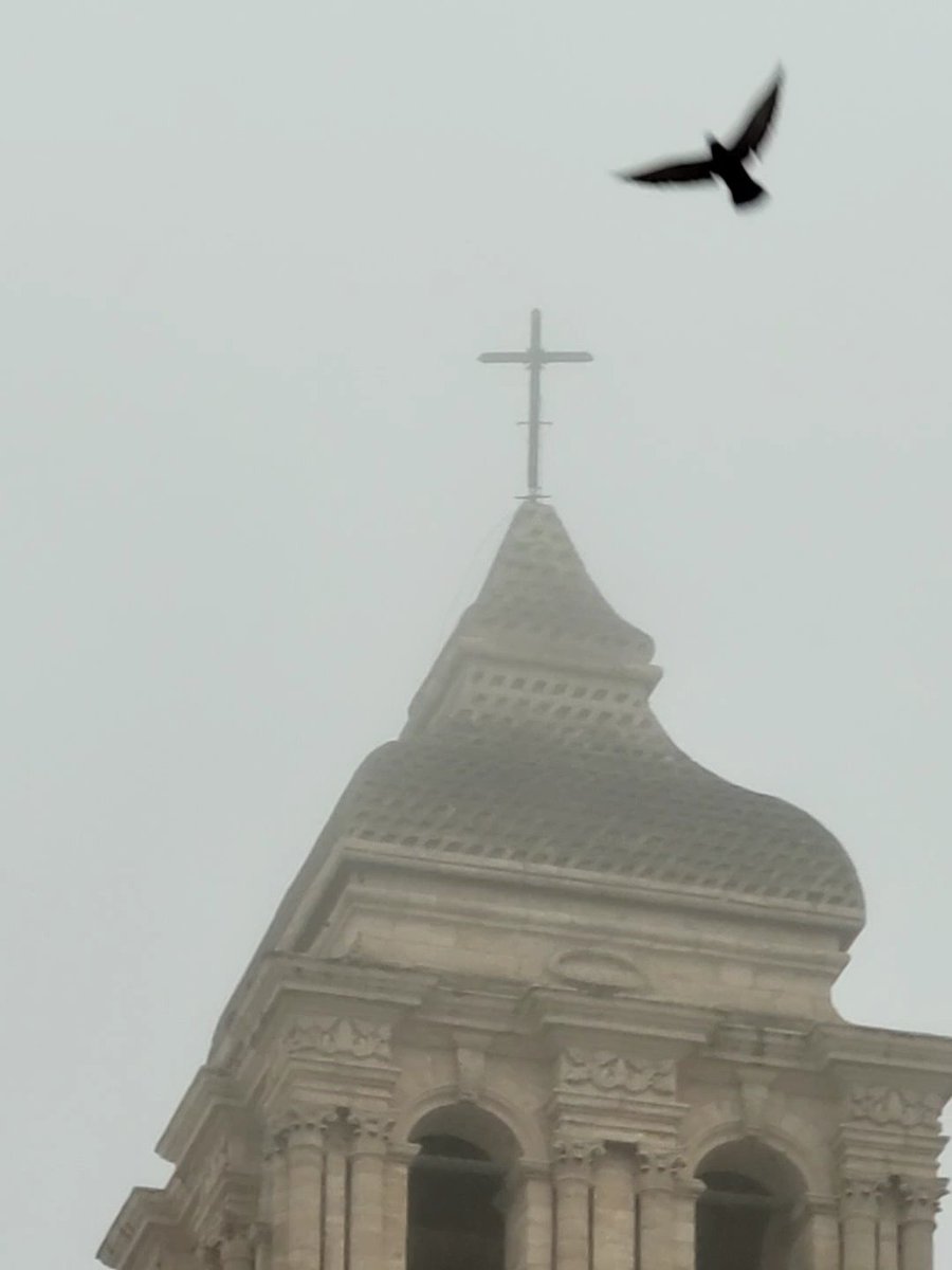 Eliezer Jáuregui tweet media