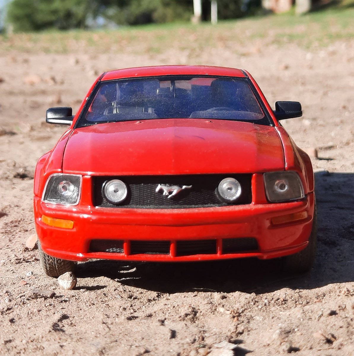 ColeccionAutos's tweet photo. Hoy hubo sesión de fotos con este Mustang!! https://t.co/WYBq1h6pFC