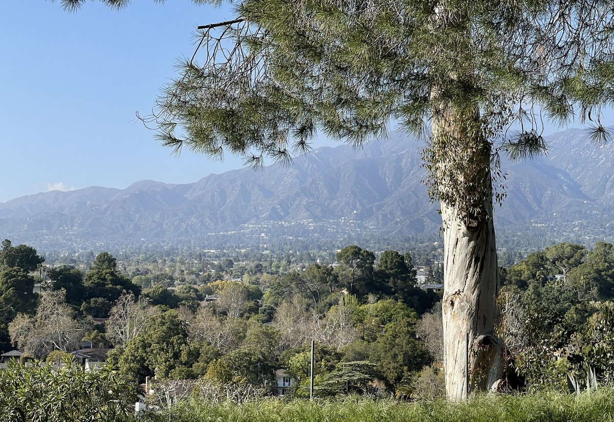theyvonnesayers's tweet photo. Itβs such a GORGEOUS beautiful day in LA today!! π΄β°π€π
#gratitude #takingintheview #LosAngeles https://t.co/CgO5xYMcnb