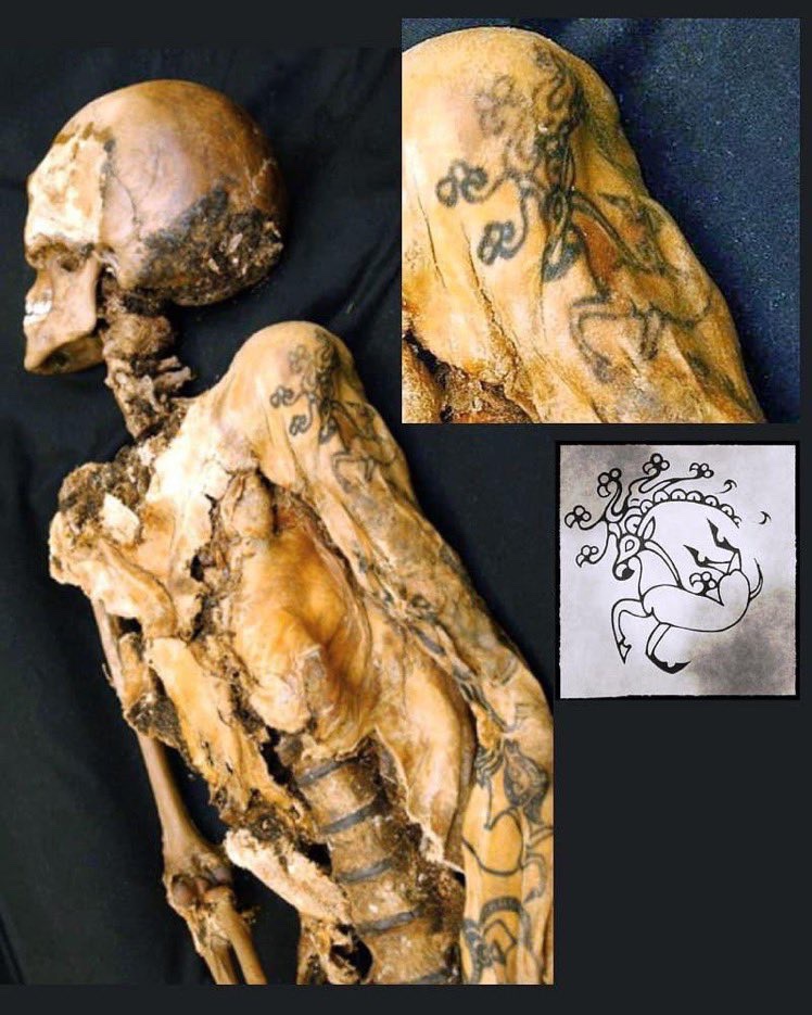 HistoricHub's tweet photo. The Body of Princess Ukok, who died aged 25, had several tattoos on her body, including a deer with a griffon's beak and a Capricorn's antlers. The tattoos have been perfectly preserved for 2,500 years, discovered by researchers back in 1993 in Siberia. https://t.co/uS2PU4esAs