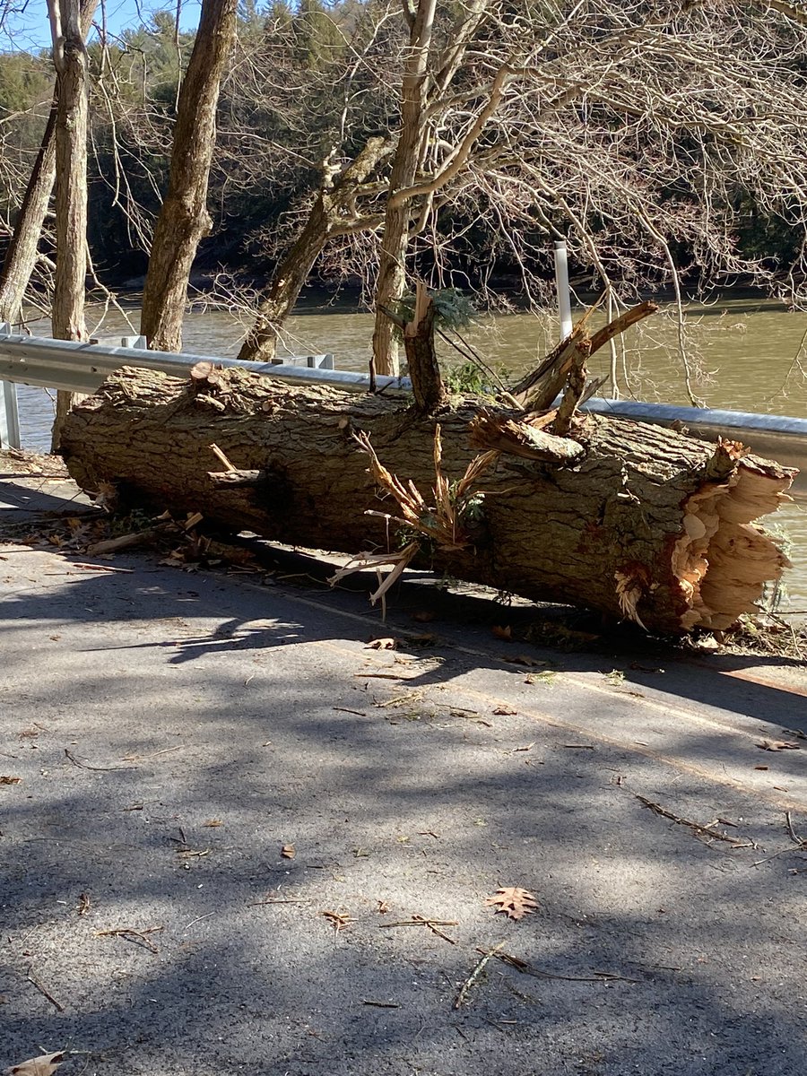 TonyMel13027869's tweet photo. Storm damage along the river road seen on my run #cookforeststatepark #run #marathontraining https://t.co/iGBLnAtA4h