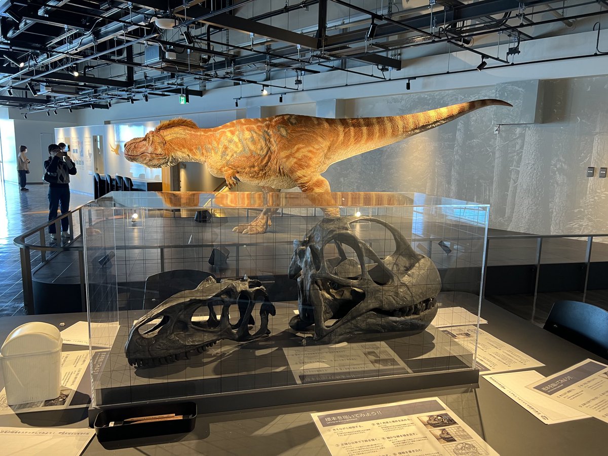 Kris Schiermeier on Twitter: 