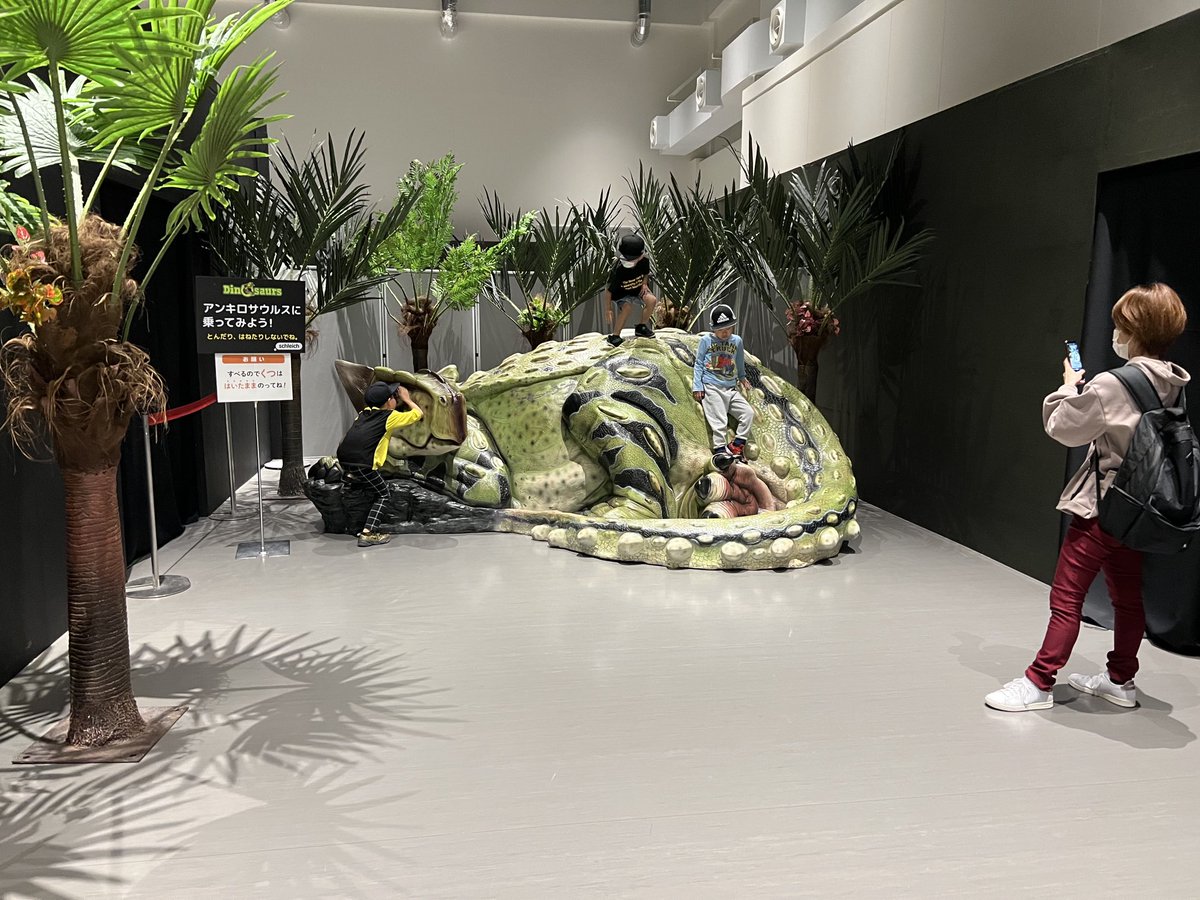 Kris Schiermeier on Twitter: 