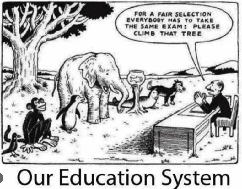 EM203dzhu's tweet photo. #EM203 #ProblemsWithEducation https://t.co/Dej0mzs2V0