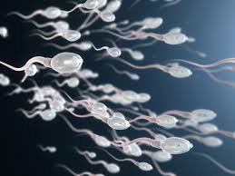 Doador de esperma é processado após ter mais de 550 filhos