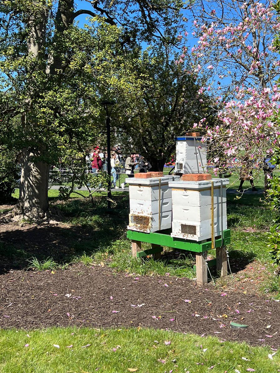 FinjaDraxler's tweet image. What a special visit to the @WhiteHouse gardens on this gorgeous spring day. Did you know there is a beehive 🐝 and a vegetable garden 🥬🍅 on the WH grounds? #SpringGardenTour #exploreDC