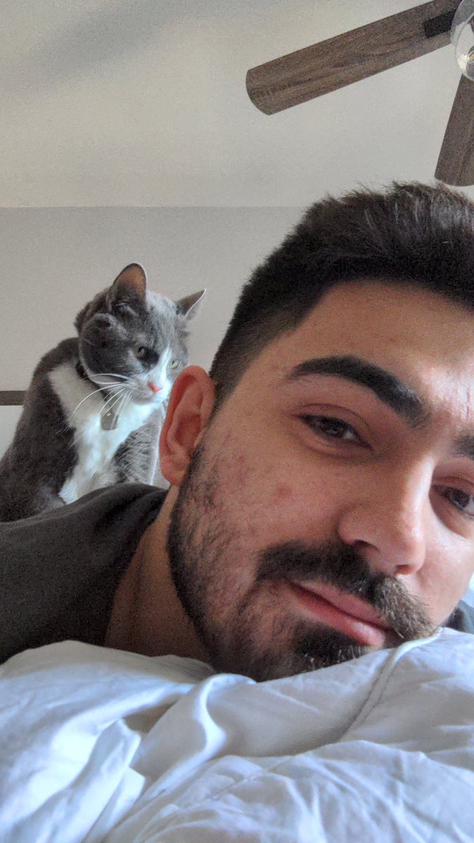 drakoverse's tweet photo. Update: My cat is doing a lot better https://t.co/IshZt0SOUD