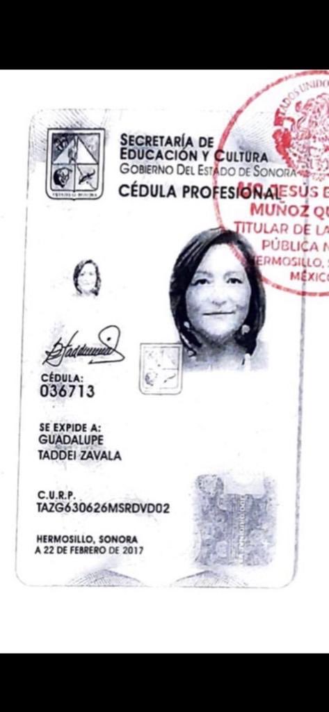 Mario Di Costanzo tweet media