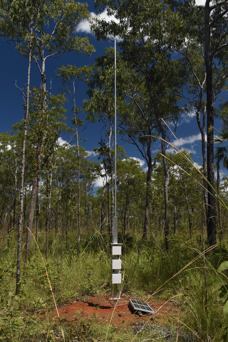 Installed second @thethingsntwrk gateway for #NorthAustralianSatelliteValidationFacility @LitchfieldSSS to provide redundant network coverage for environmental sensors. Fully functional but missing heat shielding to protect from frequent #bushfires. @CopernicusGBOV