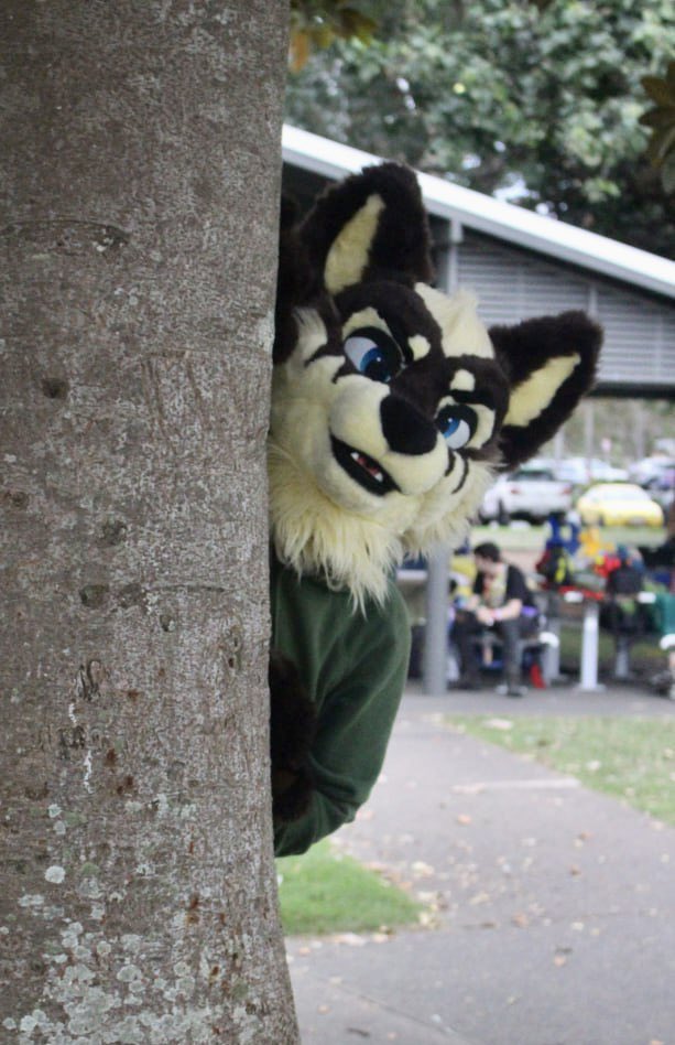 Hey there! You found me!

✂️: @FursuitsByLacy 
📸: @Relzsen 

#fursuit #furry #FursuitAnyDay