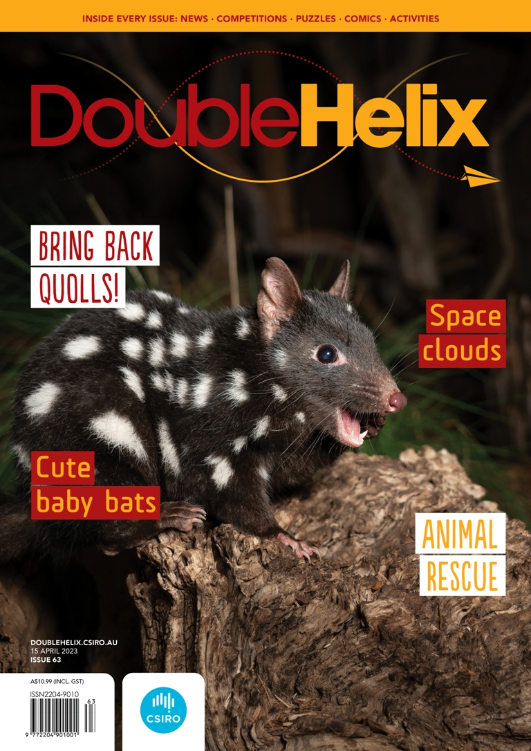 healthywildlife's tweet photo. Check out the latest issue of @CSIRO's Double Helix science magazine for kids focused on wildlife conservation & animal rescue, highlighting scientists & experts working to rescue Australia’s native wildlife. Read review via our LinkedIn: https://t.co/DPCh7hwgWy @CSIROPublishing https://t.co/4ungt0Of09