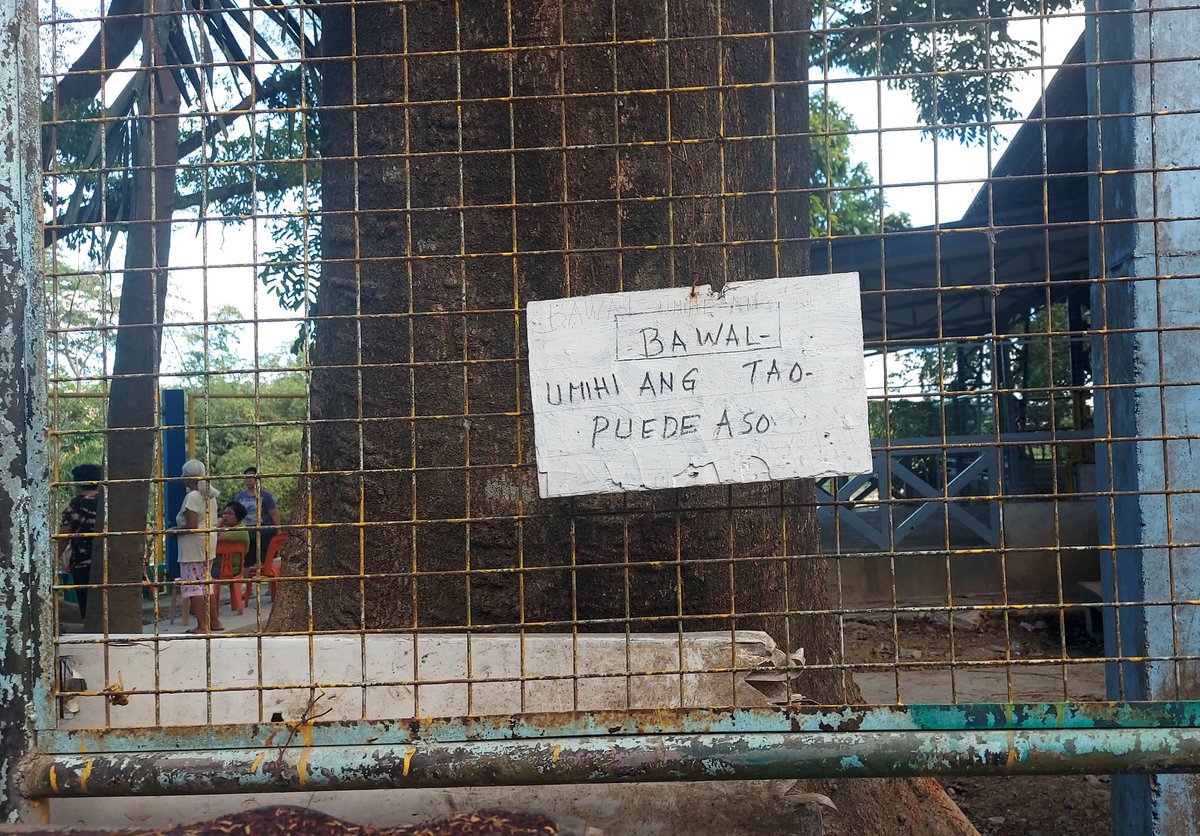 This glimmer of more-than-human urbanism at a community center in QC made us chuckle:
'Humans are prohibited (bawal) from peeing. Dogs are allowed.'

We need urban policies that attend to our complex entanglements with other species 🐕🐱🐝
#morethanhuman