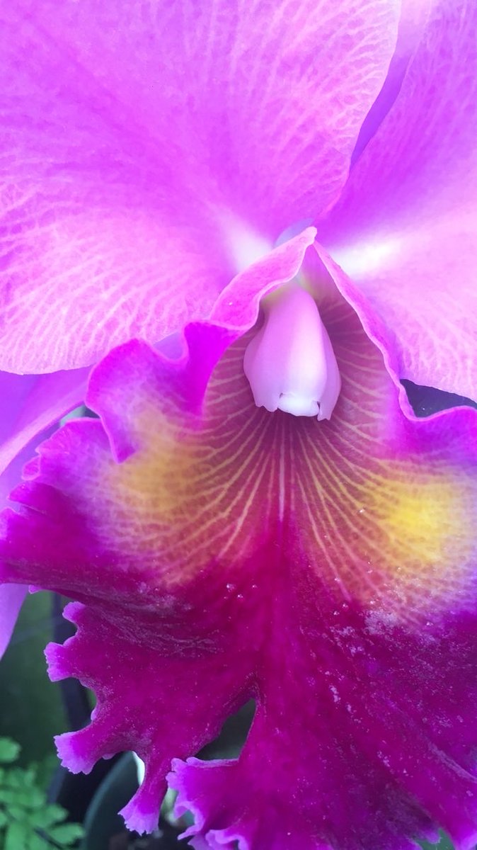 New release from Groove Drs - covering a 1971King Floyd classic, “Groove Me” open.spotify.com/track/6JqRf0EJ…