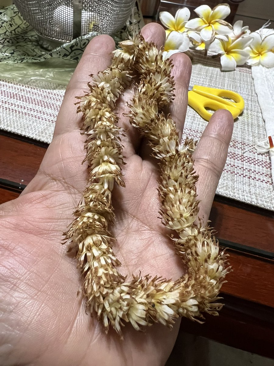 The Magizhampoo makes an appearance. The fragrance of these flowers gets better as they dry. In the #ShriSaiSatcharitra there is a mention of Sai asking for a bakula- mala. Well, this is my arpanam to His feet.