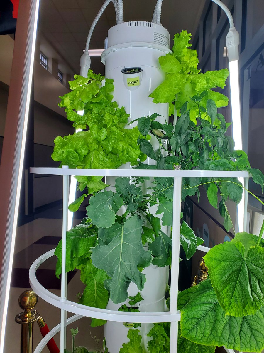 Growing ..<a href="/TowerGarden/">Tower Garden</a>