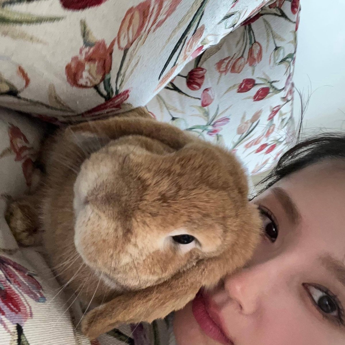 ୭ৎ | 5k tweet media