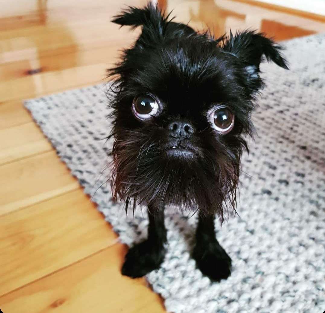 ccuP🔞 tweet media