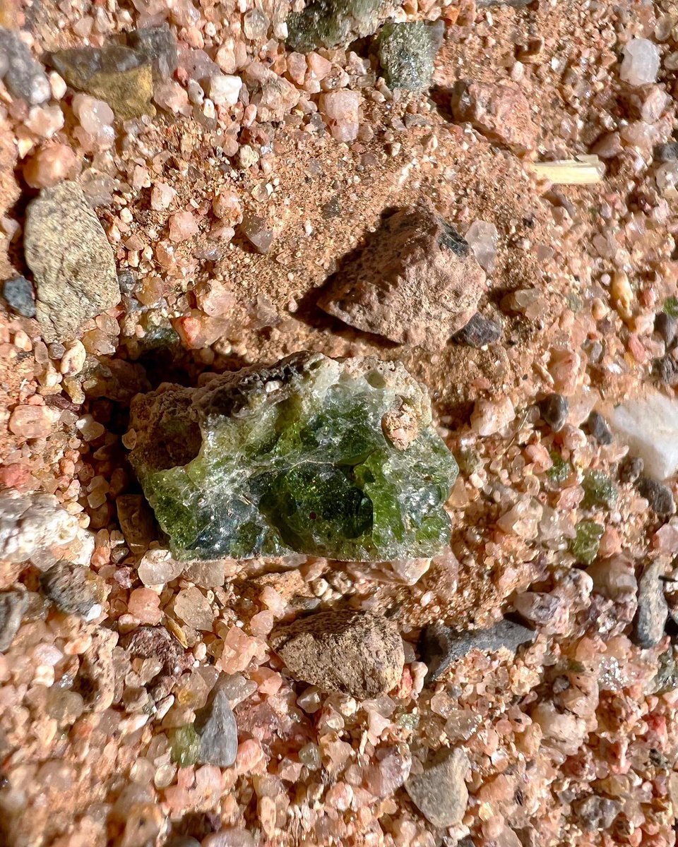 wx_zoe's tweet photo. Crossed another item off the bucket list this weekend…visit the Trinity Site✔️🤯 #nmwx #trinitite #history https://t.co/oGRnZh8TkL