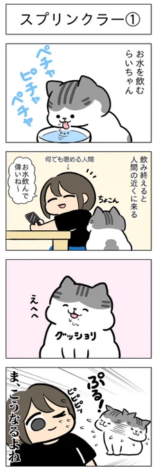 「スプリンクラー①」
(はる蔵さんの「ふうらい日和」第90回)

つづきはこちら⇒https://t.co/yHcdZBCUmC 