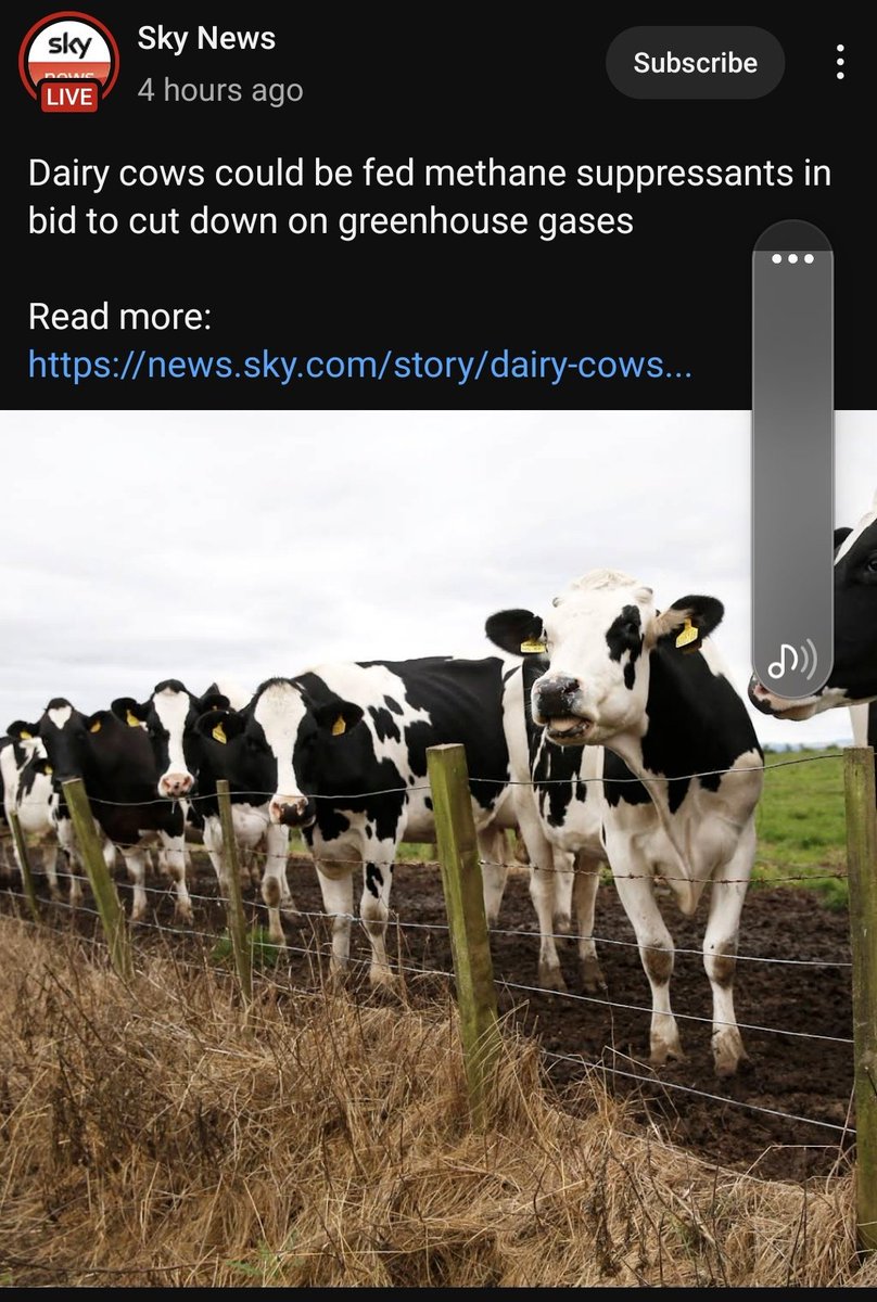 faking_space's tweet photo. You fucking clown world...get me out of here.. https://t.co/Fd79jyHHPt