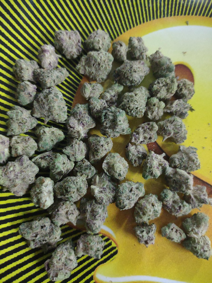 Quarter of Grape Punch $55 #WriteWeed #StonerFam #PPP #IAmGDC