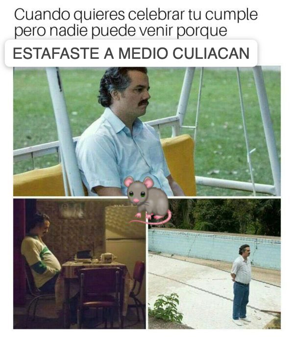 HKastanien's tweet photo. Así las esposas de los estafadores de #inverplux quizà sí lo celebrarán pero no lo podrán publicar. 🐀🐀🐀🐀🐀 https://t.co/H3PYIi9vwV