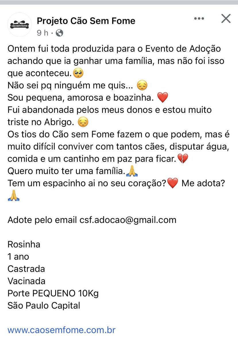 JuliaBobrow's tweet photo. Gente, e essa versão menina do José Carlos Pagode que está para adoção em São Paulo? Ajuda a divulgar, @chicobarney? ❤️ https://t.co/yZxdrKlnUv