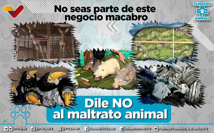 #NoAlMaltratoAnimal🐾| Los animales no son productos, son nuestros compañeros; nos aman y confían en nosotros para alimentarlos y cuidarlos. No los maltrates, son seres que necesitan ser protegidos. #04Abr