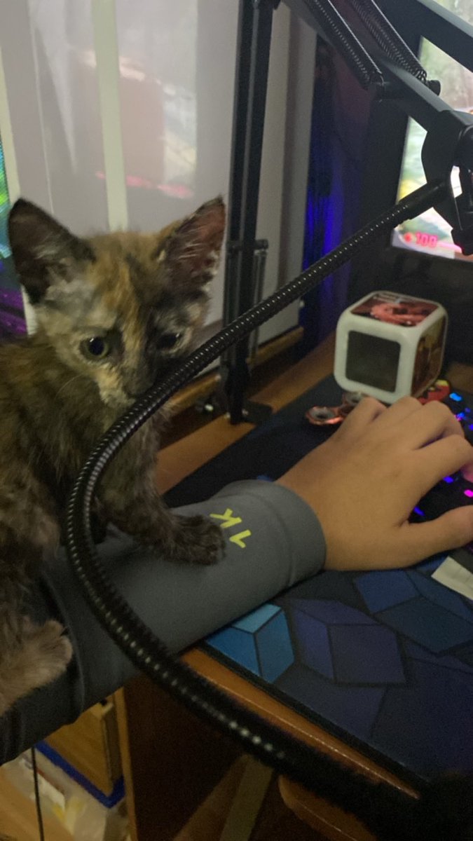 Me dejas jugar por favor?