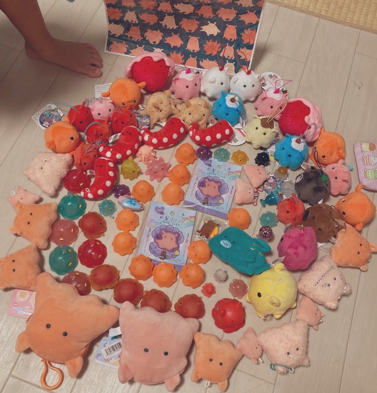 ニッチョ🥼 tweet media