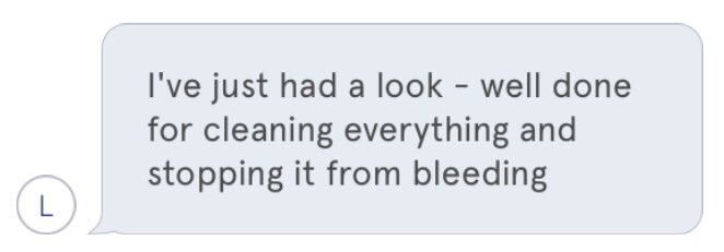 maimbitekill's tweet photo. Me getting a good grade in wound care from the hotline responder? https://t.co/ZrsApmFhDj