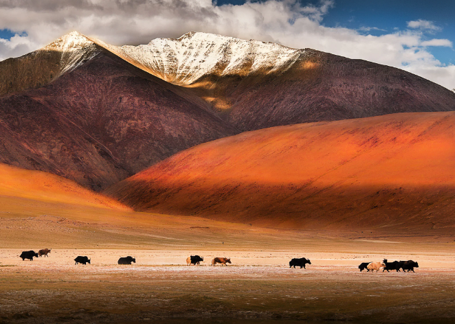 Indian_Hideouts's tweet photo. Following the winding path of the Indus river, as it carves its way through the majestic mountains of Ladakh. Nature at its finest! #IndusRiver #Ladakh #MountainBeauty #IncredibleIndia #IndianHideout 
Image Source: @timesofindia https://t.co/ZdDhH1vhmD