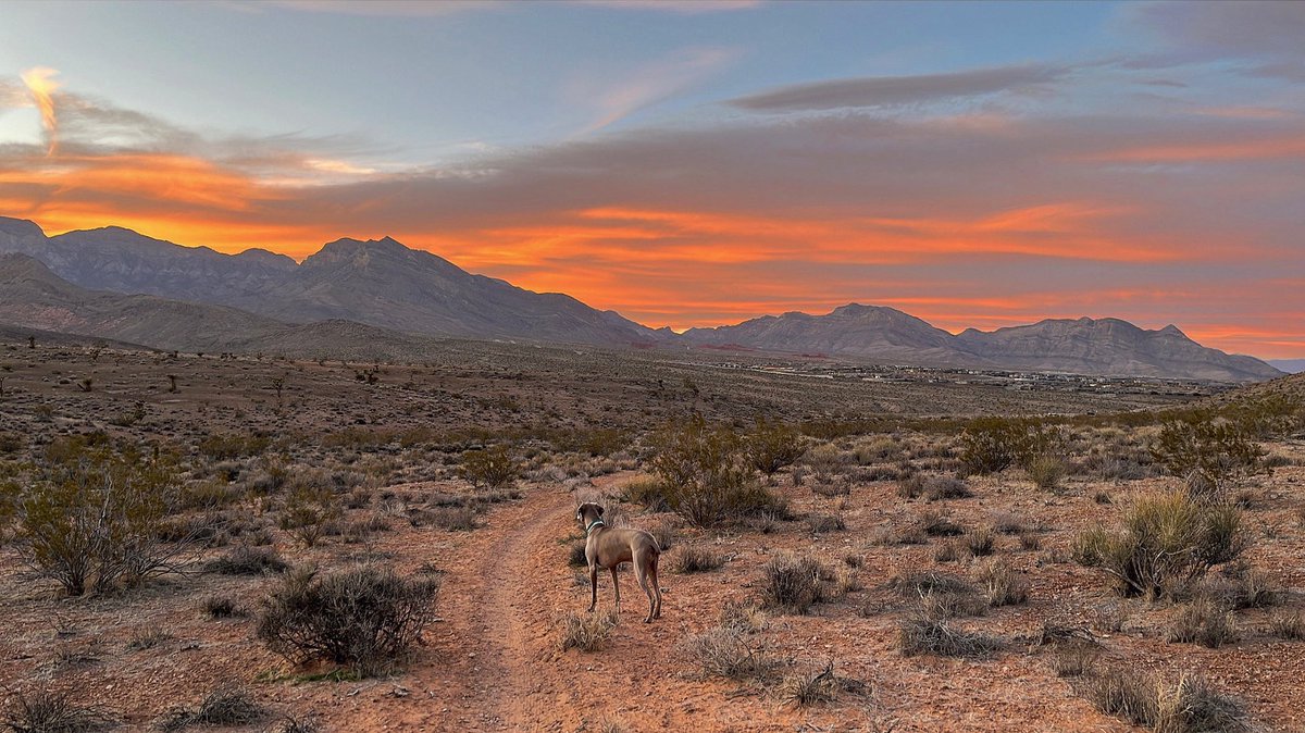 In case you forgot: Vegas sunsets are still undefeated