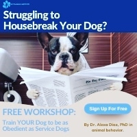 K9 Institute is the best place to train your puppers! Check out the link in my bio!