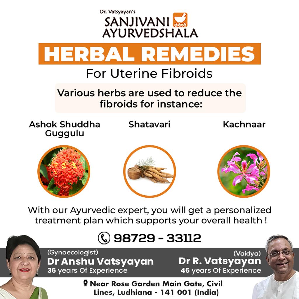 SanjivaniAyurv8's tweet image. HERBAL REMEDIES
For Uterine Fibroids
Various herbs are used to reduce the fibroids for instance:
With our Ayurvedic Experts, You will get a personalized treatment plan. 
Consult our Ayurveda Specialist Today!
Sanjivani Ayurvedshala
#drvatsyayan #sanjivaniayurvedshala #Punjab