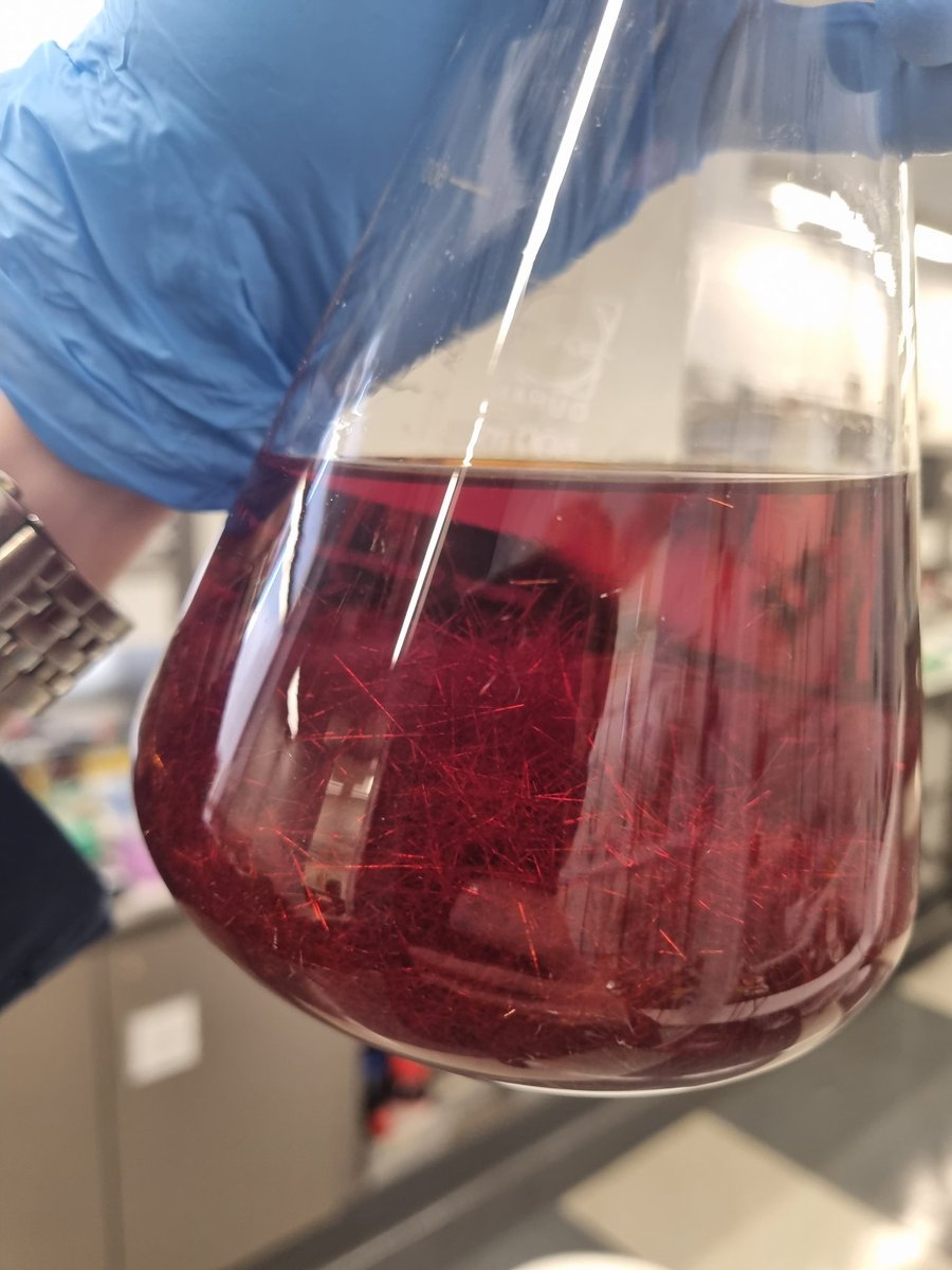 Dr Martin van Koeverden (@vanviologen) on Twitter photo πΆ I'd like to be
In C 2/c
In a crystal-growing garden in the shade πΆ
#RealTimeChem #ozchem <a href="/RACI_Inorganic/">RACI Inorganic Chemistry Division</a> <a href="/ChemistryUoM/">School of Chemistry | University of Melbourne</a> πΆ I'd like to be
In C 2/c
In a crystal-growing garden in the shade πΆ
#RealTimeChem #ozchem <a href="/RACI_Inorganic/">RACI Inorganic Chemistry Division</a> <a href="/ChemistryUoM/">School of Chemistry | University of Melbourne</a>