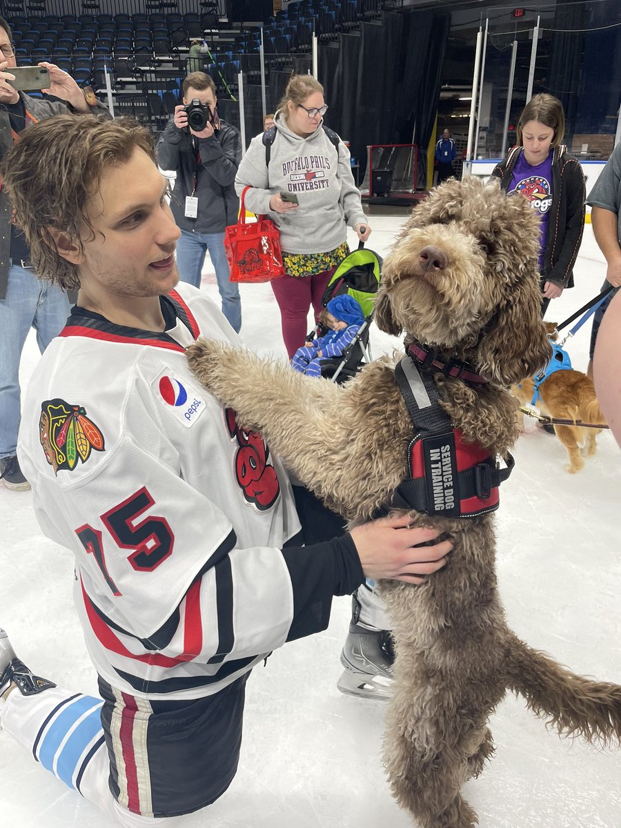 Support2Change's tweet image. Circle of Change’s Annie the doodle has decided she’s a big hockey fan!
