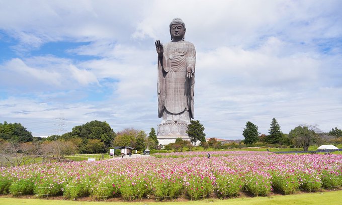 トレンドに「牛久大仏」ってあったから、てっきり日本有事を察知して大仏が起動したのかと思ったが、ンな事は無かった。生き辛い