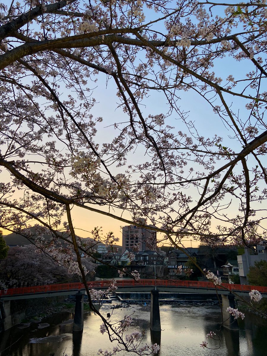 saran_19980709's tweet photo. ･

１時間も
経たないうちに

・ https://t.co/OTCYtss0Rr