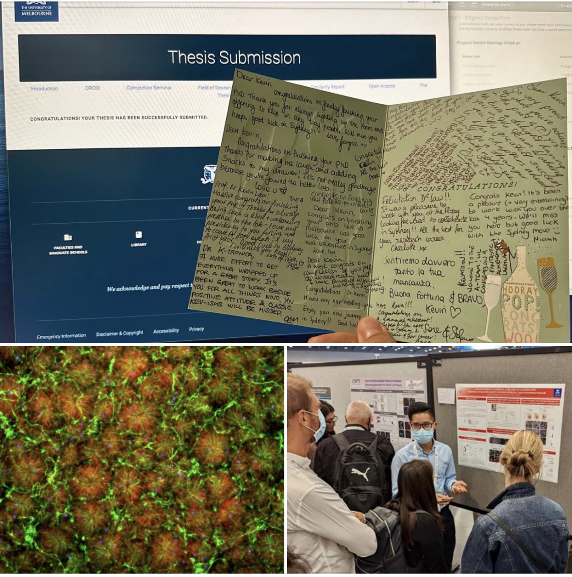 Kevin Law tweet media