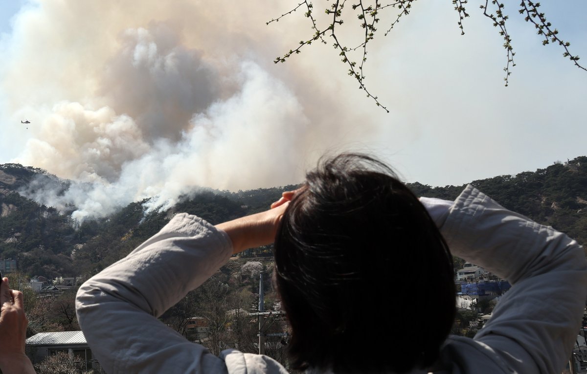 WatchTowerGW's tweet photo. A wildfire raged on the slopes of Mount Inwangsan in South Korea's Seoul, forcing at least 120 homes to be evacuated. The government deployed 15 helicopters and 85 rescue vehicles, and over 500 personnel to extinguish the fire. No casualties have been reported. #Seoul #SouthKorea https://t.co/ie1o0SZhcd