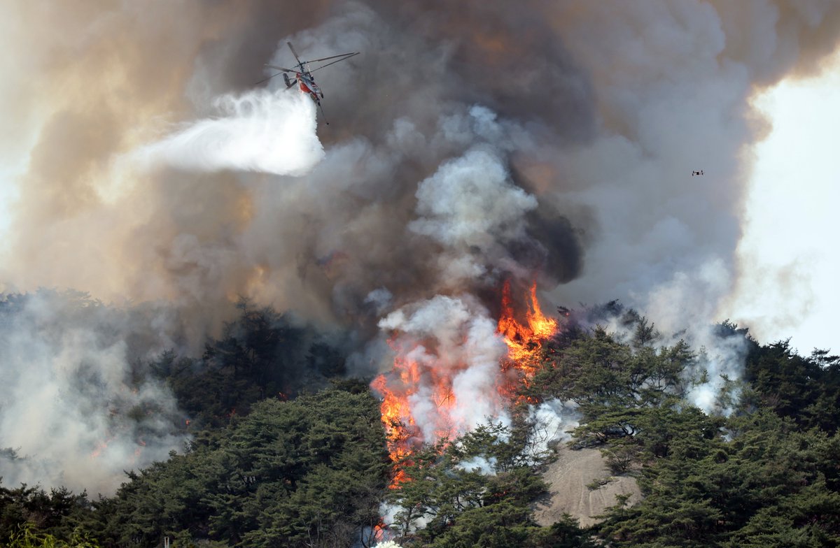 WatchTowerGW's tweet photo. A wildfire raged on the slopes of Mount Inwangsan in South Korea's Seoul, forcing at least 120 homes to be evacuated. The government deployed 15 helicopters and 85 rescue vehicles, and over 500 personnel to extinguish the fire. No casualties have been reported. #Seoul #SouthKorea https://t.co/ie1o0SZhcd