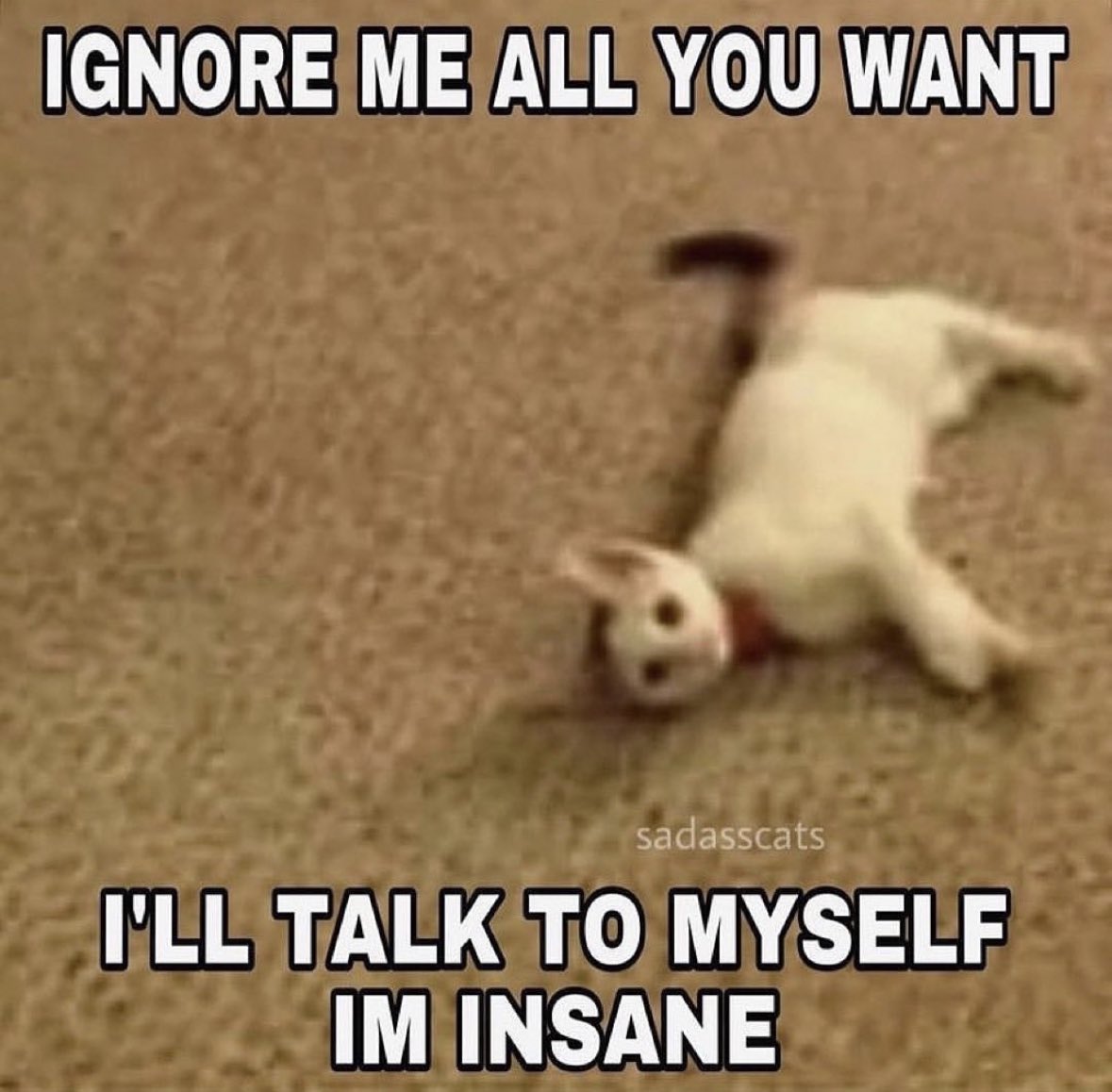 literallymecats's tweet photo. https://t.co/9Gz76q1LK3