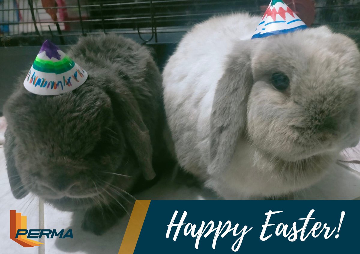 PermaStruct's tweet image. As we approach Easter this weekend, Perma’s offices will be closed for Good Friday and Easter Monday. Make sure to call or email your enquiries before Friday, otherwise we will get back to you on the Tuesday. Happy Easter everyone! 🐰🐣🐥🐥🐣🐰

#easter2023 #bunnies#eastereggs