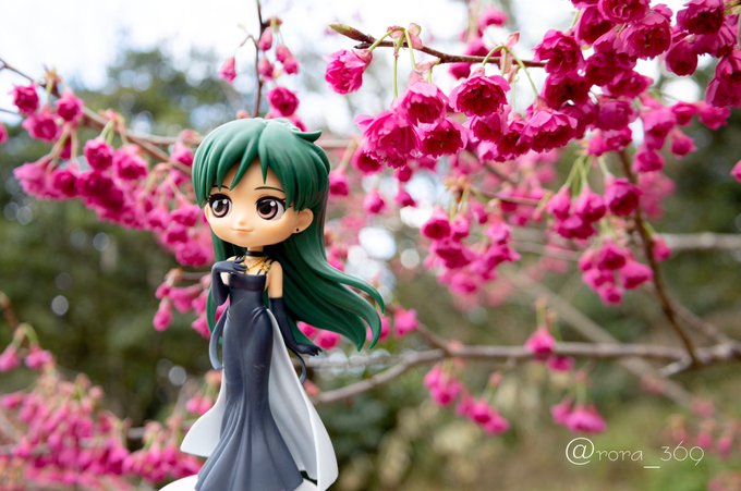 色んな桜があるけど、プルートはこのカンヒザクラが似合いそうだなと撮ってみる😊プルートは可愛いよりもクールな雰囲気で撮りた