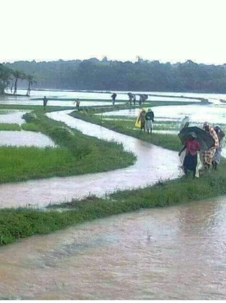 mdSumon50807122's tweet photo. বর্ষার দিনে আমাদের গ্রাম অঞ্চলের অসাধারণ একটি দৃশ্য 
প্রিয় বাংলাদেশ,৷ https://t.co/X9q9J0AOrw