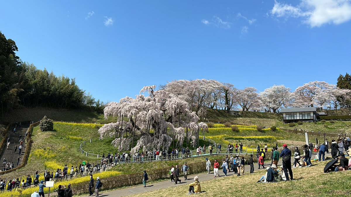春らしい良い天気