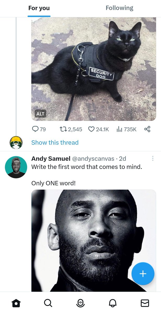 saustiramback tweet media