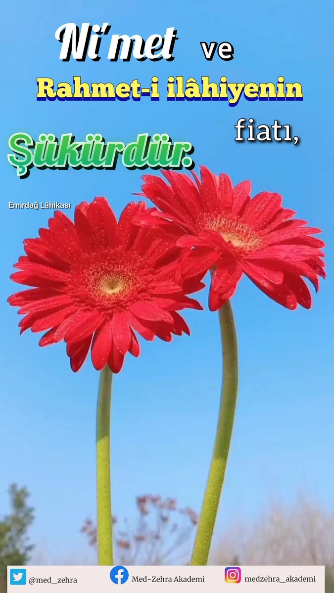 Ni'met ve Rahmet-i İlâhiyenin fiatı, şükürdür. 
Emirdağ Lâhikası
#şükür
#Fiyat